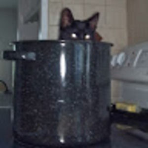 Meet your Posher, Fred